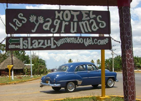 Las yagrumas Havana